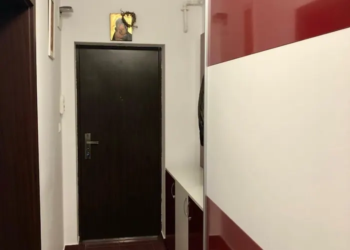 Joy Calea Timisoarei 4 Timisoara