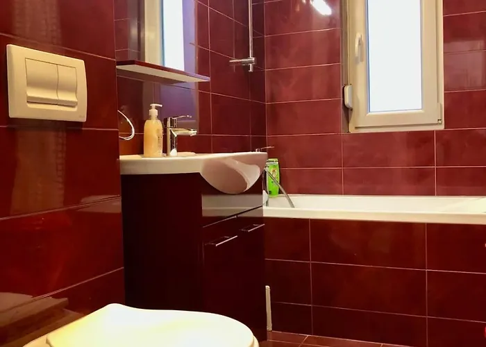 Joy Calea Timisoarei 4 *