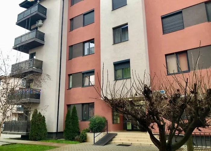 Joy Calea Timisoarei 4 *