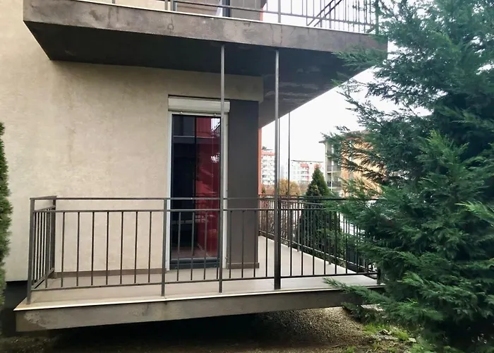 Joy Calea Timisoarei 4 * Timisoara