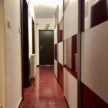 Apartment Joy Calea Timisoarei 4 Timişoara