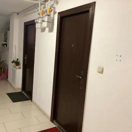 Apartment Joy Calea Timisoarei 4
